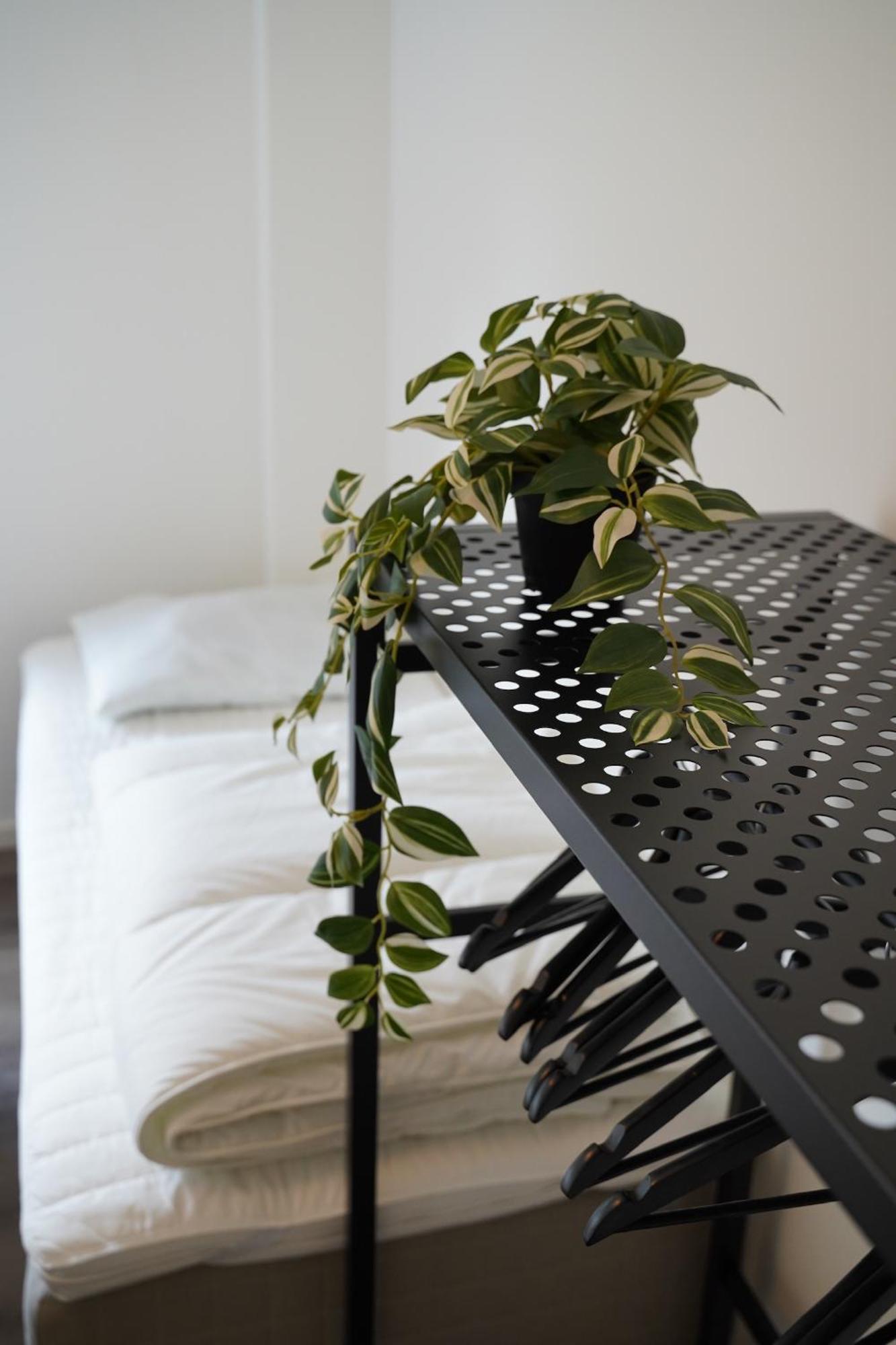 Holiday Apartments توندر المظهر الخارجي الصورة